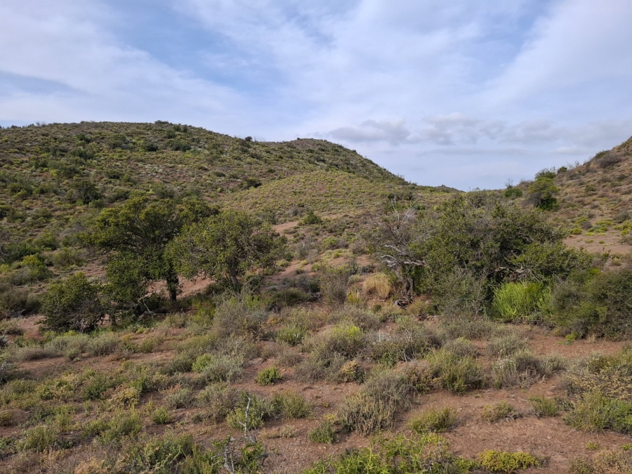  Bedroom Property for Sale in Van Wyksdorp Western Cape